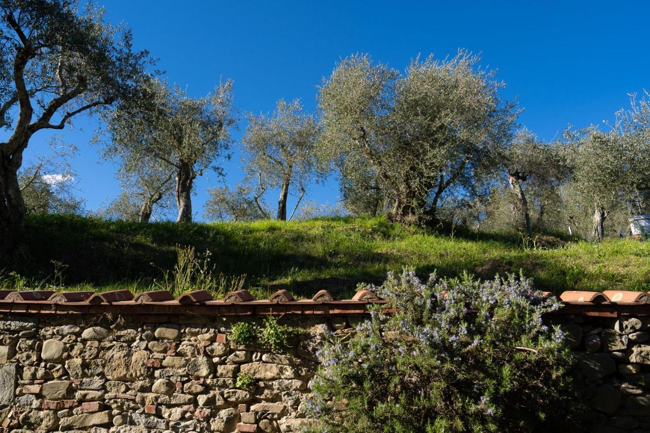 Alloggi In Villa Storica Pescia Exterior photo